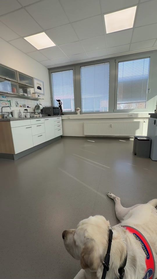 TikTok video thumbnail by andrea_blindlife