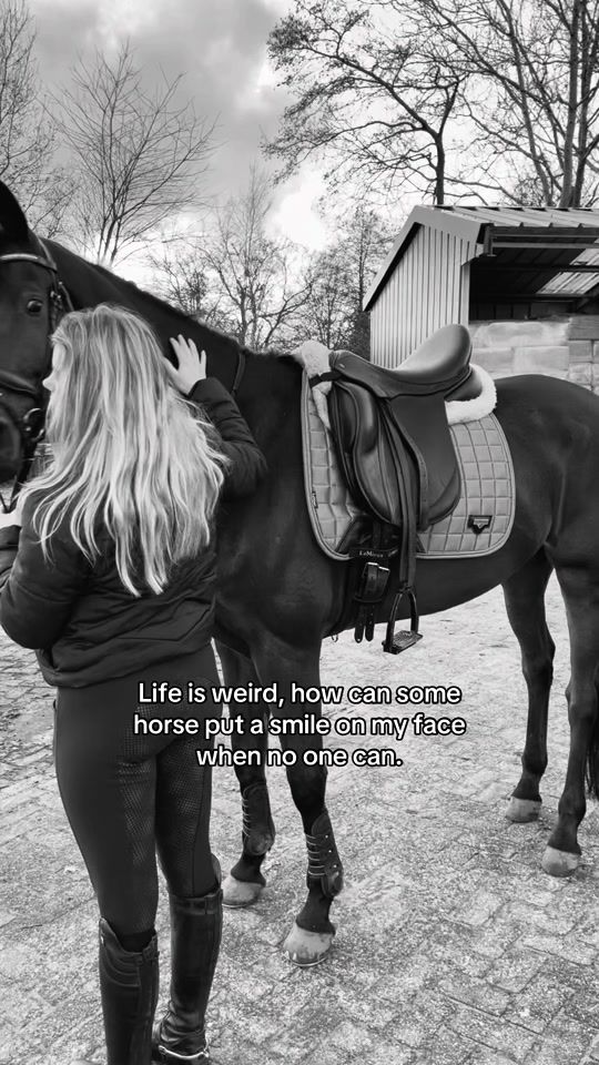 TikTok video thumbnail by marloudhorses
