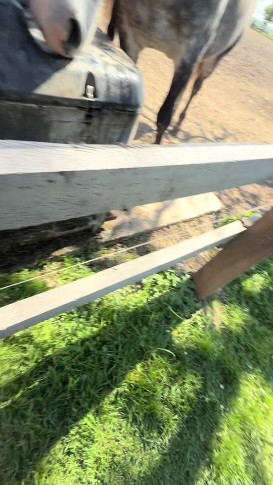 TikTok video thumbnail by matea_jacek