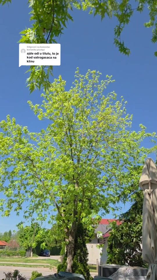 TikTok video thumbnail by marko_hadjur