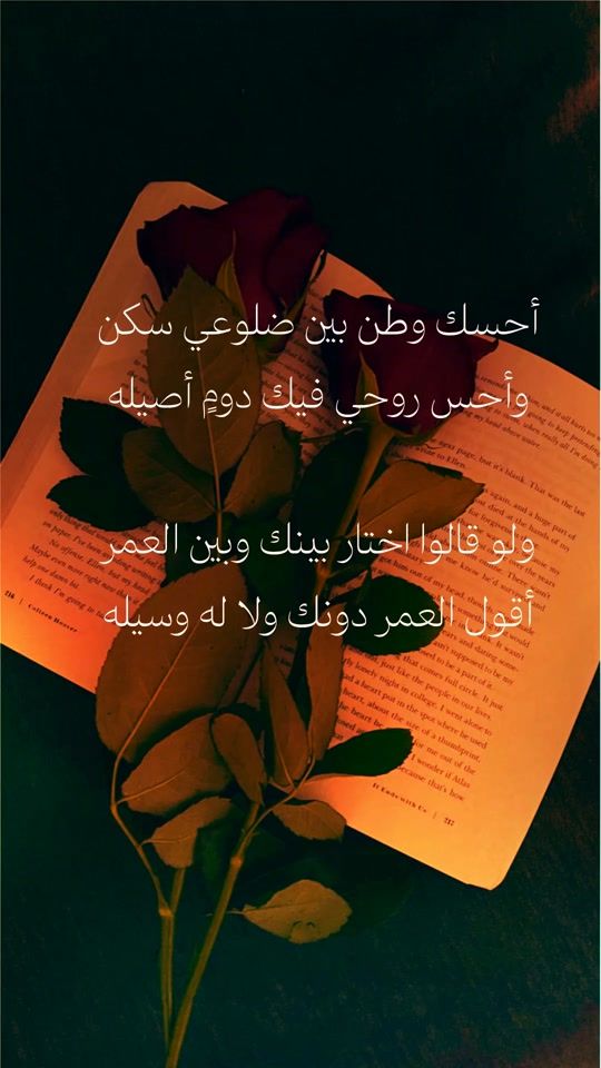 TikTok video thumbnail by hakim_11.11
