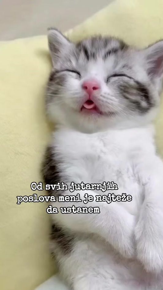 TikTok video thumbnail by tutinac42