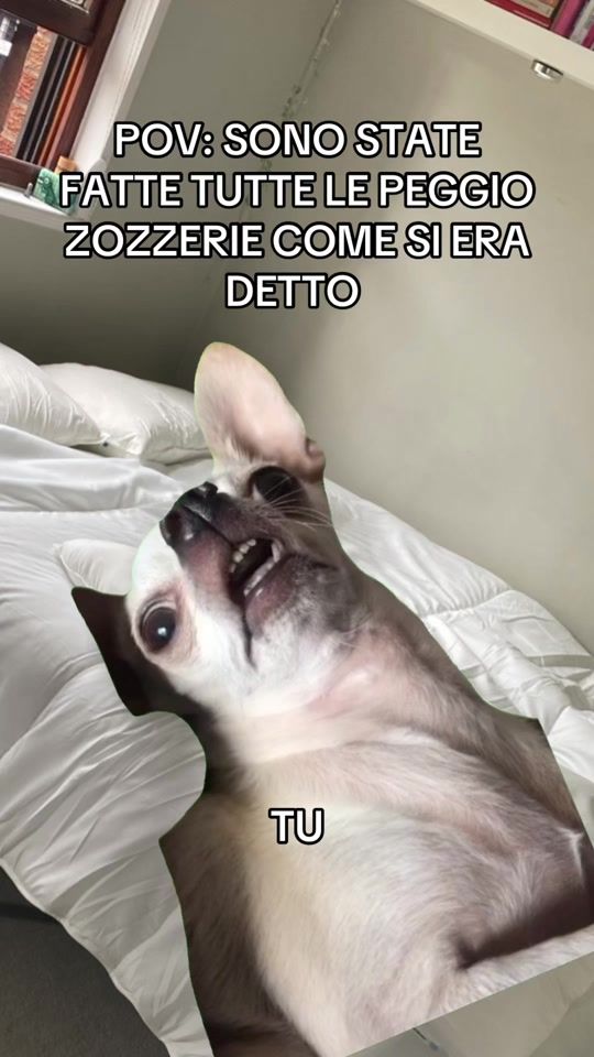 TikTok video thumbnail by sessolosapeste