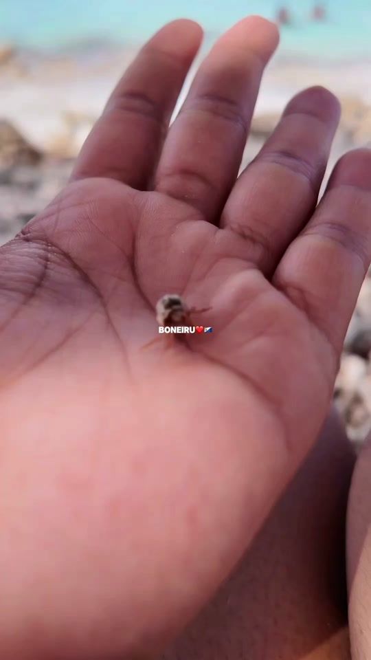 TikTok video thumbnail by itsdinendra