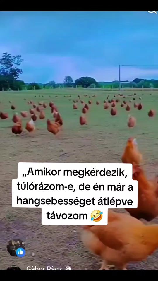 TikTok video thumbnail by arnilaszlo.007