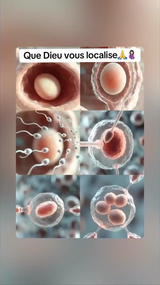 TikTok video thumbnail by aissata.doukoure