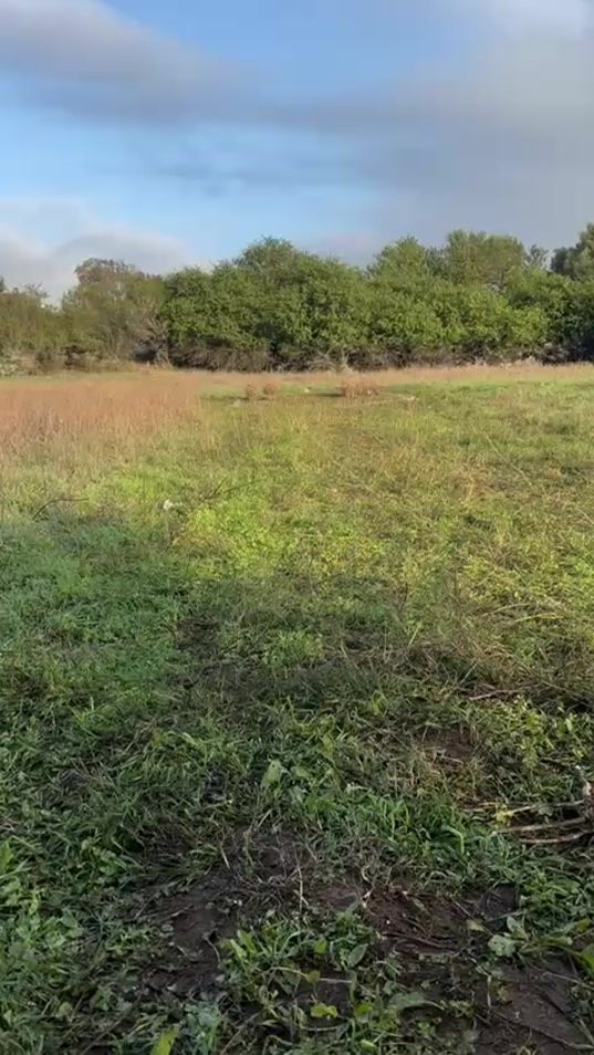 TikTok video thumbnail by maanueel.24