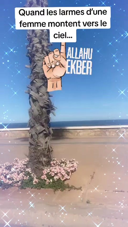 TikTok video thumbnail by _soubhanallah