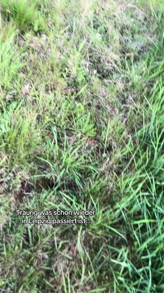 TikTok video thumbnail by maddox_zwck