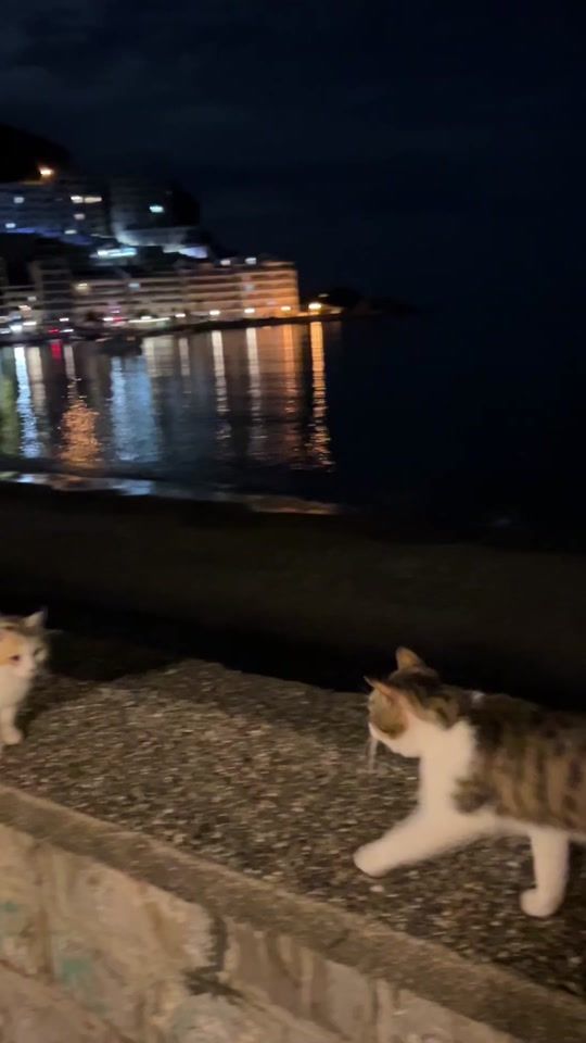 TikTok video thumbnail by jasmindanielaa