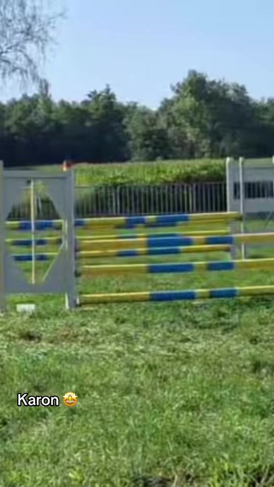 TikTok video thumbnail by hanne_voets