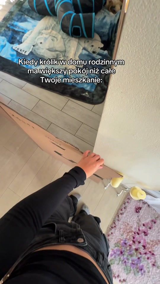 TikTok video thumbnail by malosci