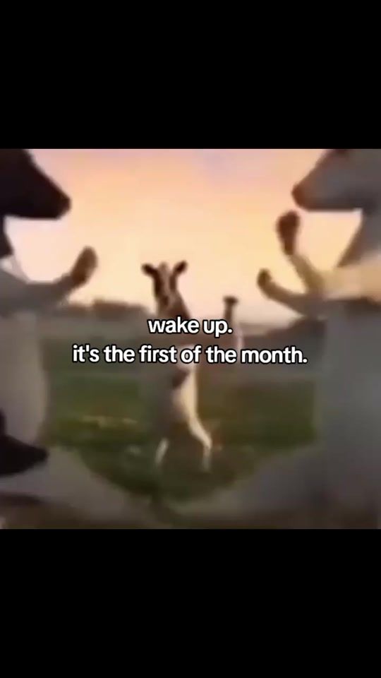 TikTok video thumbnail by httpsaxiee