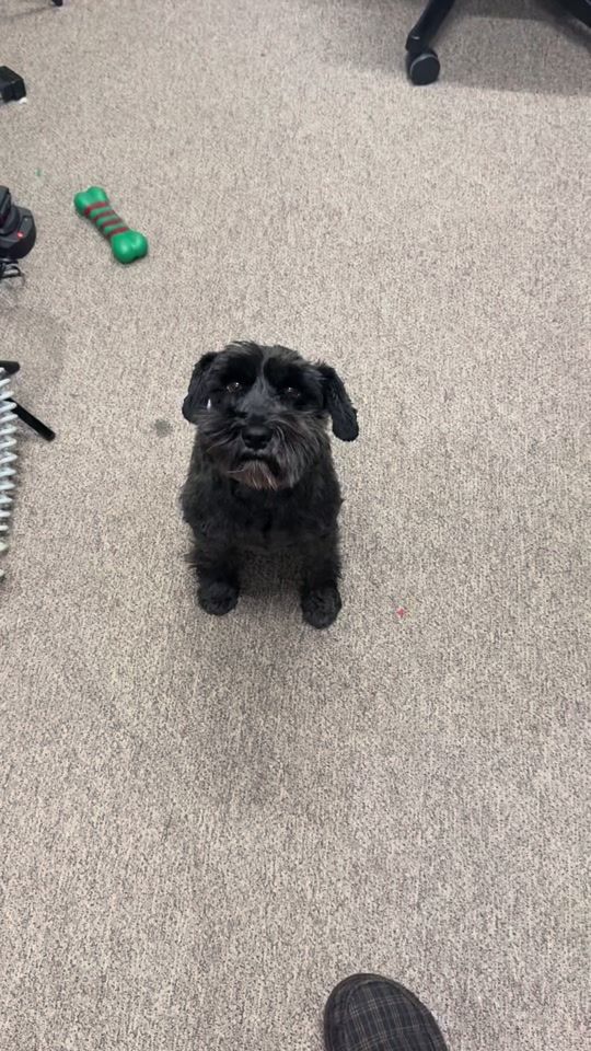 TikTok video thumbnail by brickfunyt