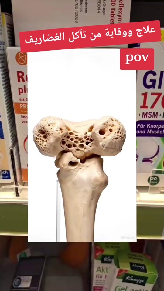 TikTok video thumbnail by timpranssesa