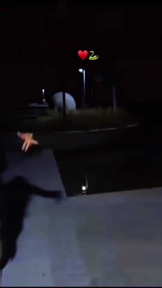 TikTok video thumbnail by ____sapni____