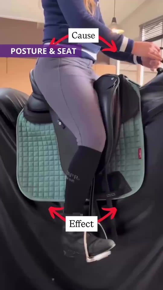 TikTok video thumbnail by dutch.equestrian.nl
