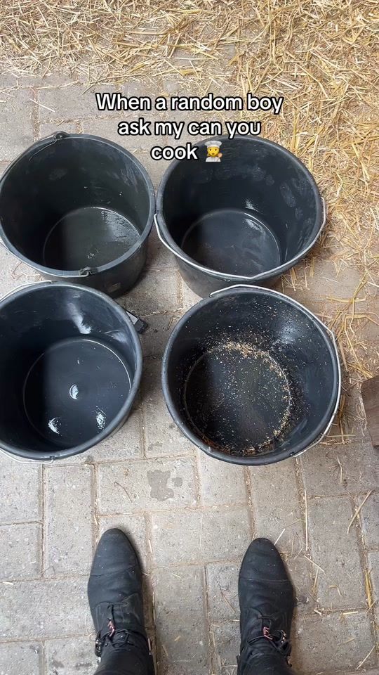 TikTok video thumbnail by flying.rocky