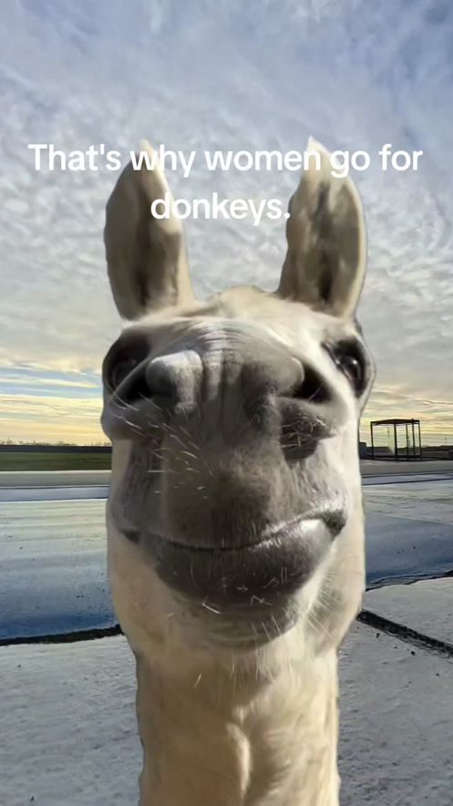 TikTok video thumbnail by mikek91990