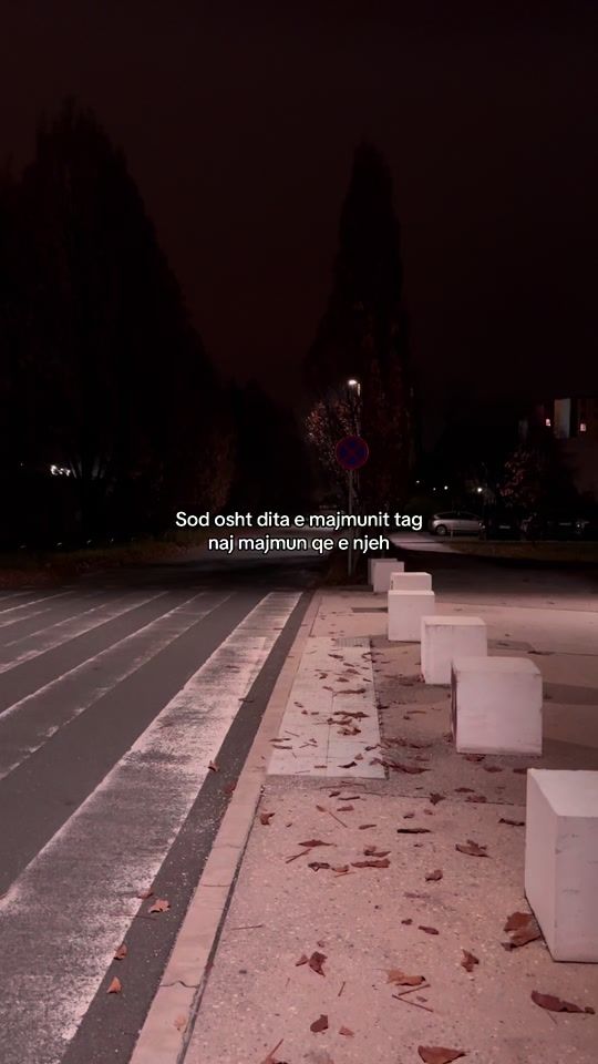TikTok video thumbnail by mondinjo