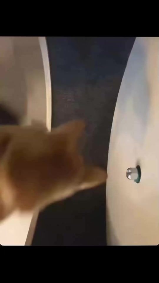 TikTok video thumbnail by mista.towa