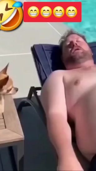 TikTok video thumbnail by laughfactory4u