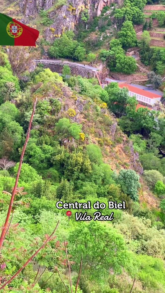 TikTok video thumbnail by manu___.ela