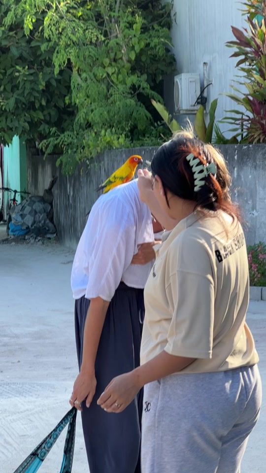 TikTok video thumbnail by sianolwinkatrina