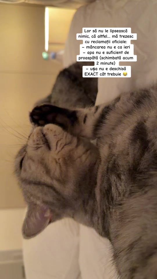 TikTok video thumbnail by raluca34_