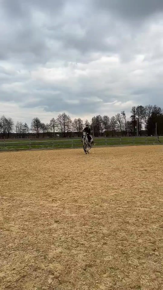TikTok video thumbnail by leonyvoigt