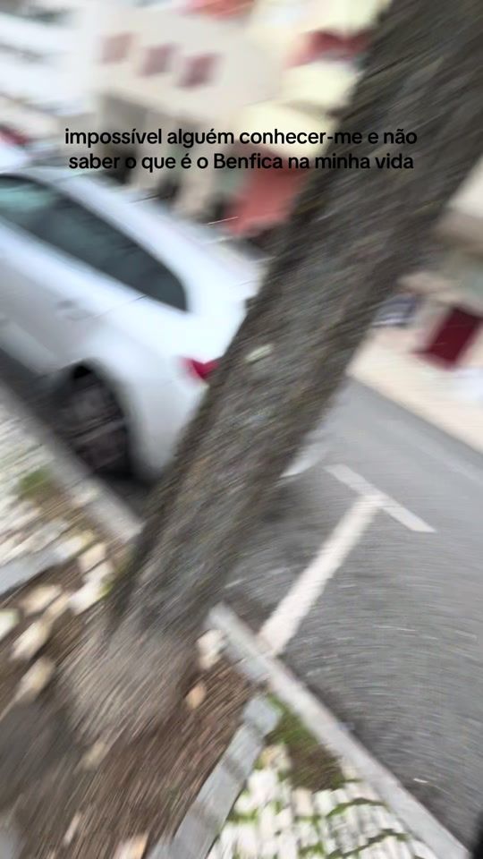 TikTok video thumbnail by dani_mfernandes10