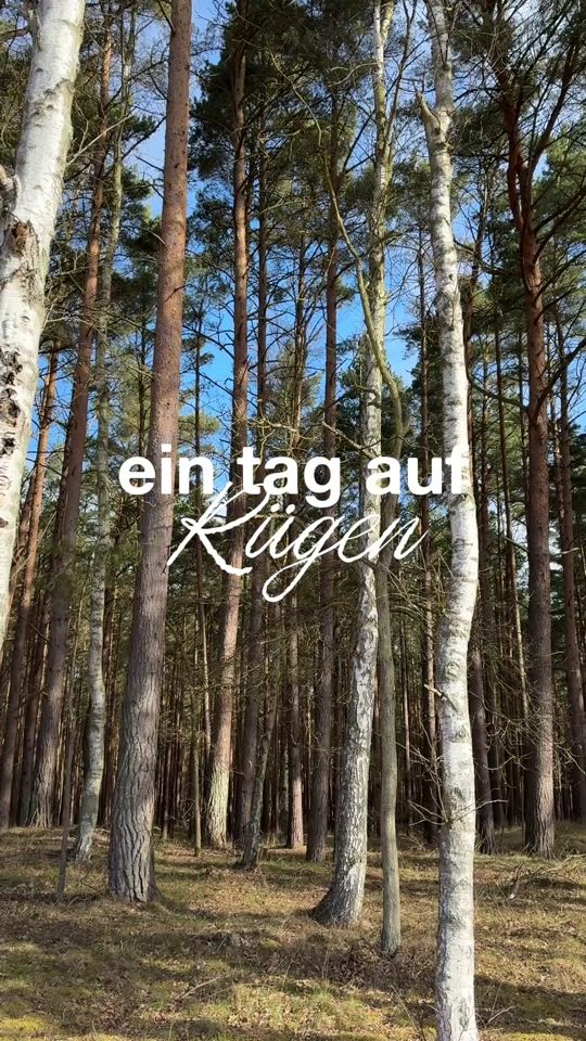 TikTok video thumbnail by maikejosefine