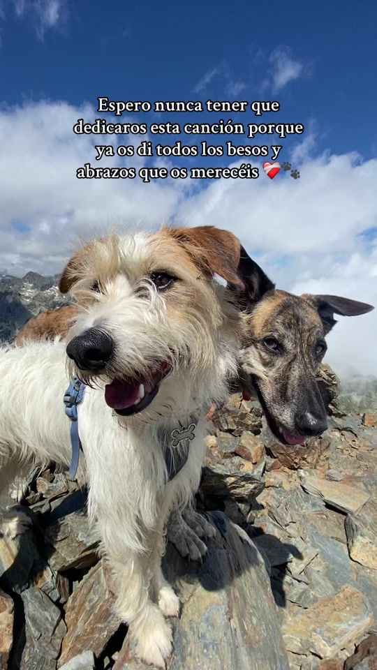 TikTok video thumbnail by _wildpawsadventures