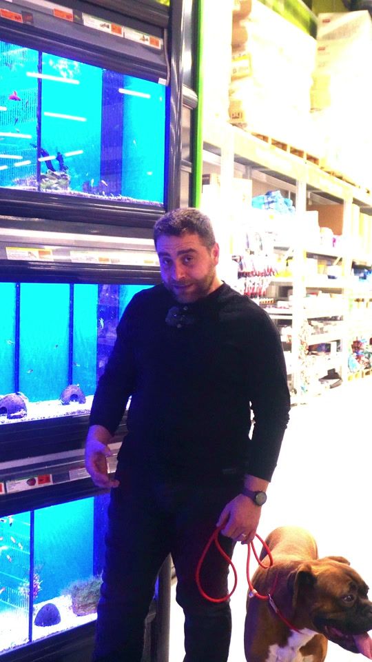 TikTok video thumbnail by hornbach.ro