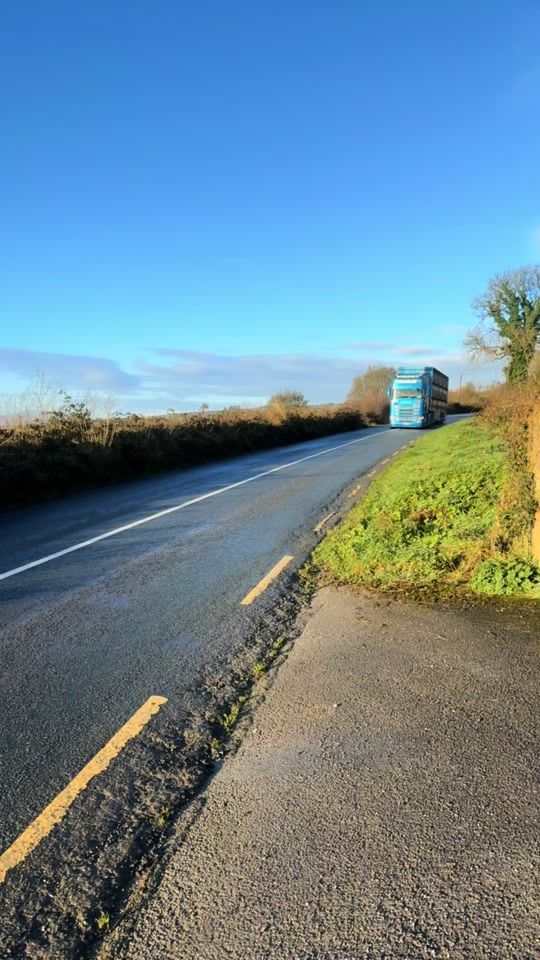 TikTok video thumbnail by orlamcauliffe