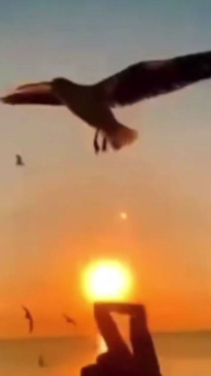 TikTok video thumbnail by barriomania_selu.frases