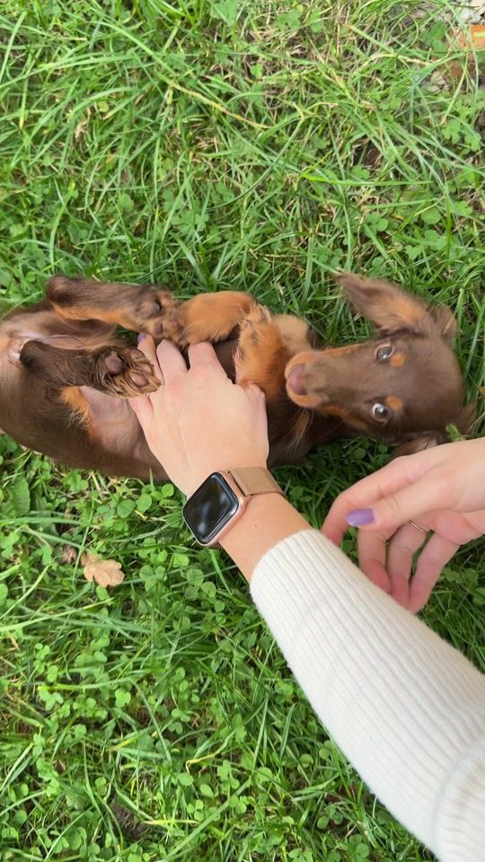 TikTok video thumbnail by dm_cesko