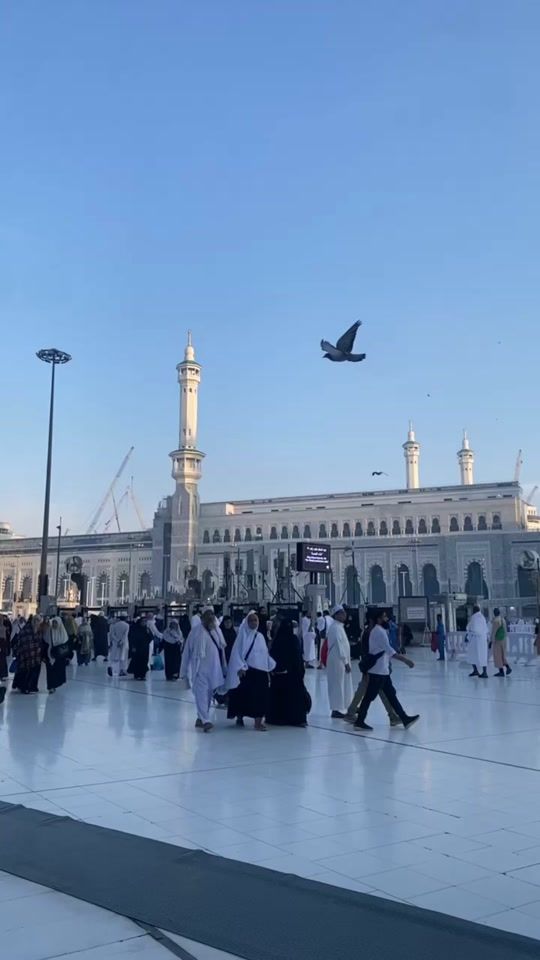 TikTok video thumbnail by mo.karim1