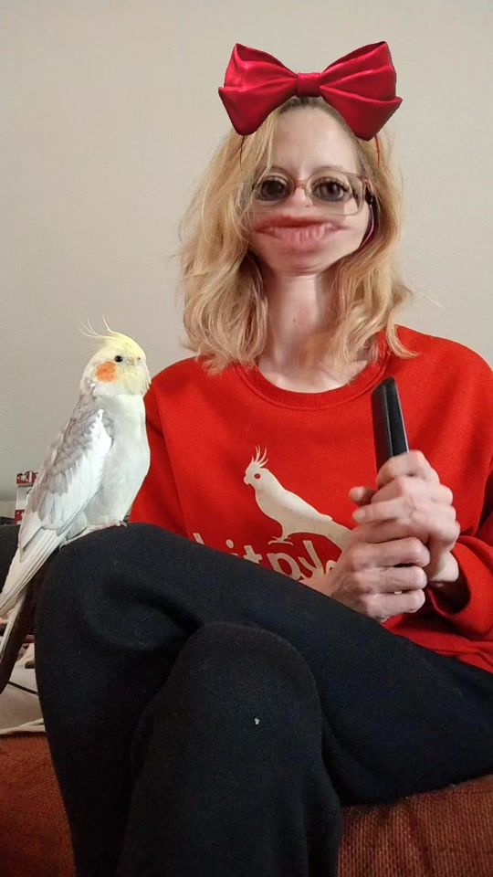 TikTok video thumbnail by pero_pavarotti