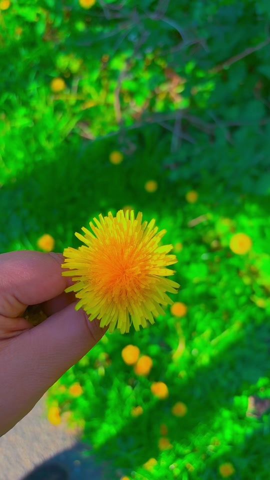 TikTok video thumbnail by esraa_a11