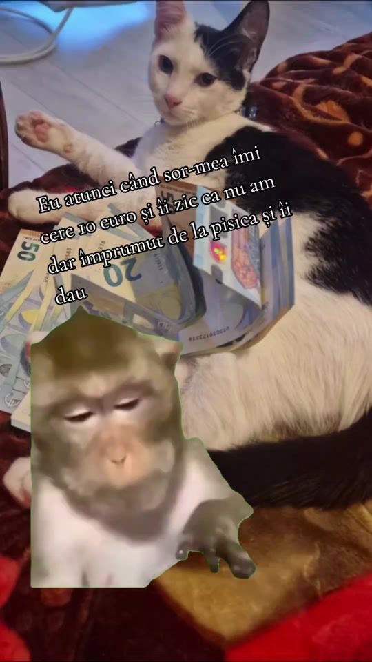 TikTok video thumbnail by andrei_zta27