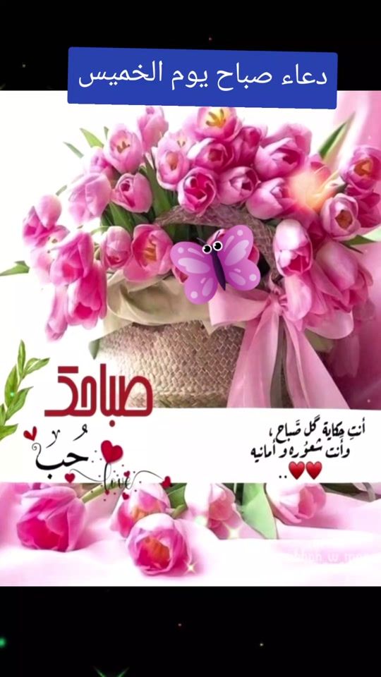 TikTok video thumbnail by salma614_