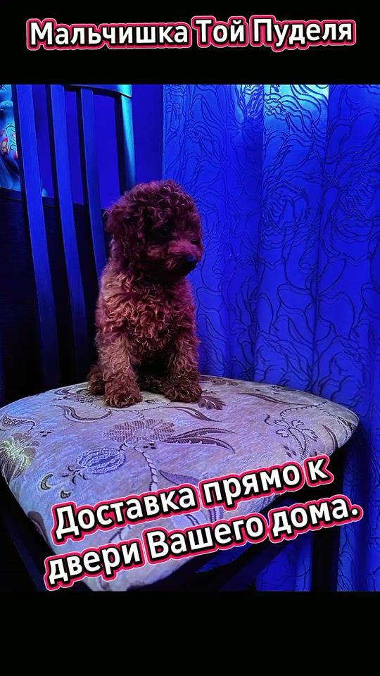 TikTok video thumbnail by vselenaja5