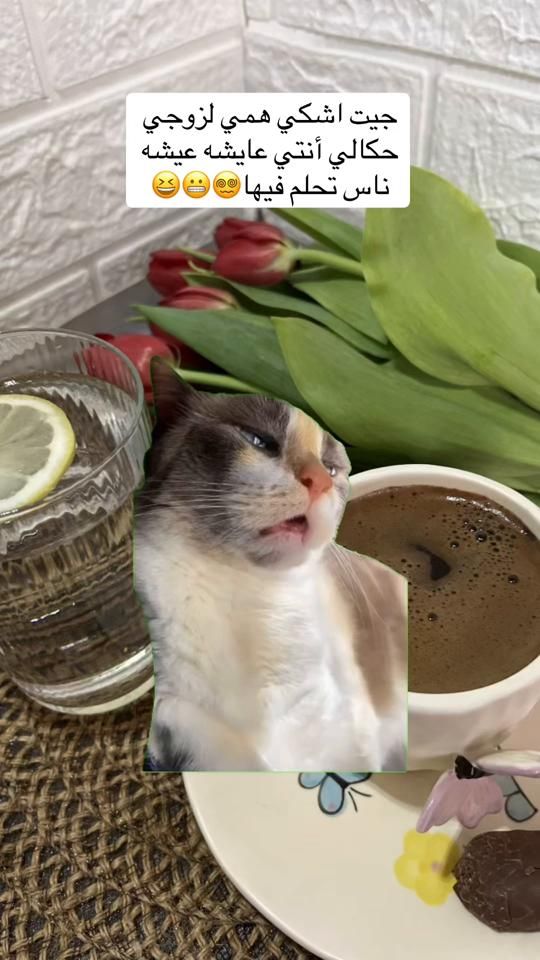 TikTok video thumbnail by khadija_kitchen12