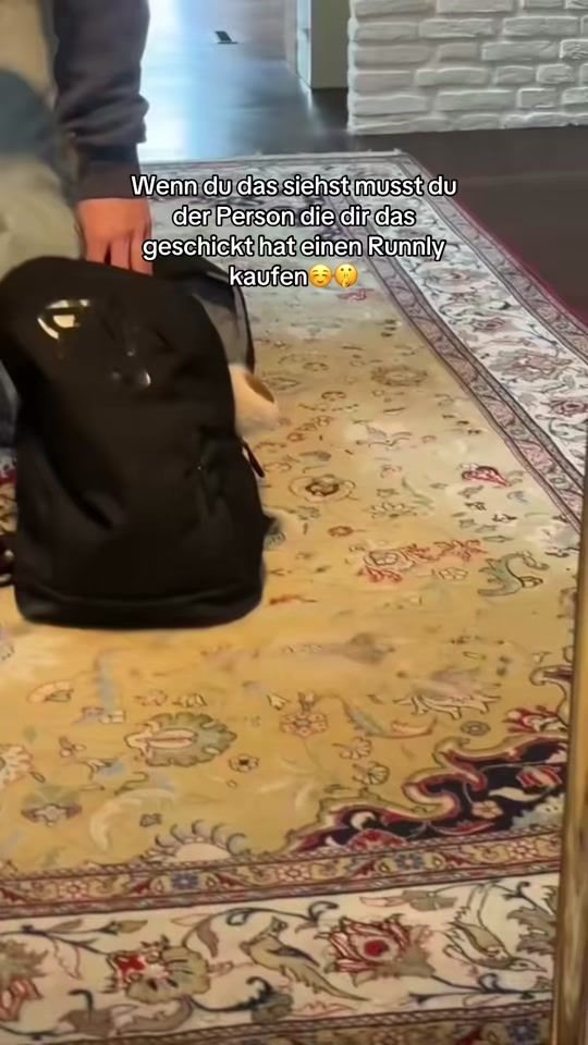 TikTok video thumbnail by runnlyde
