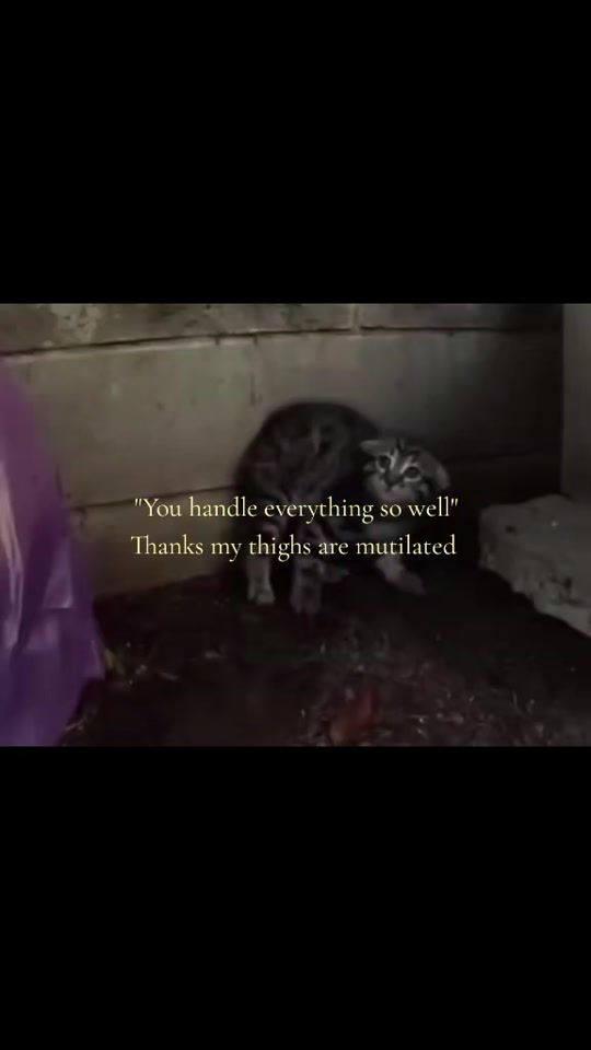 TikTok video thumbnail by heartzzru