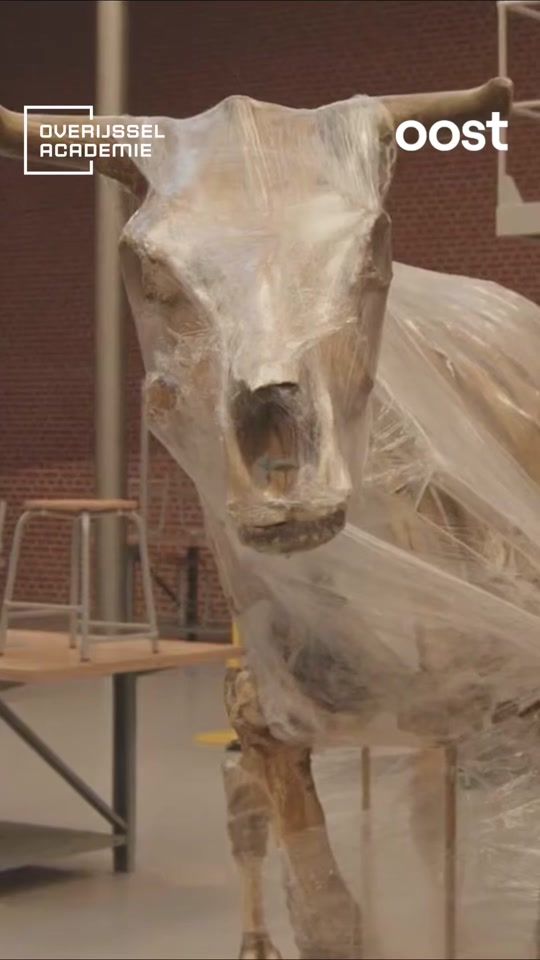 TikTok video thumbnail by rtvoost