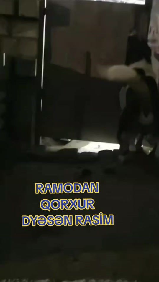 TikTok video thumbnail by abbass.546