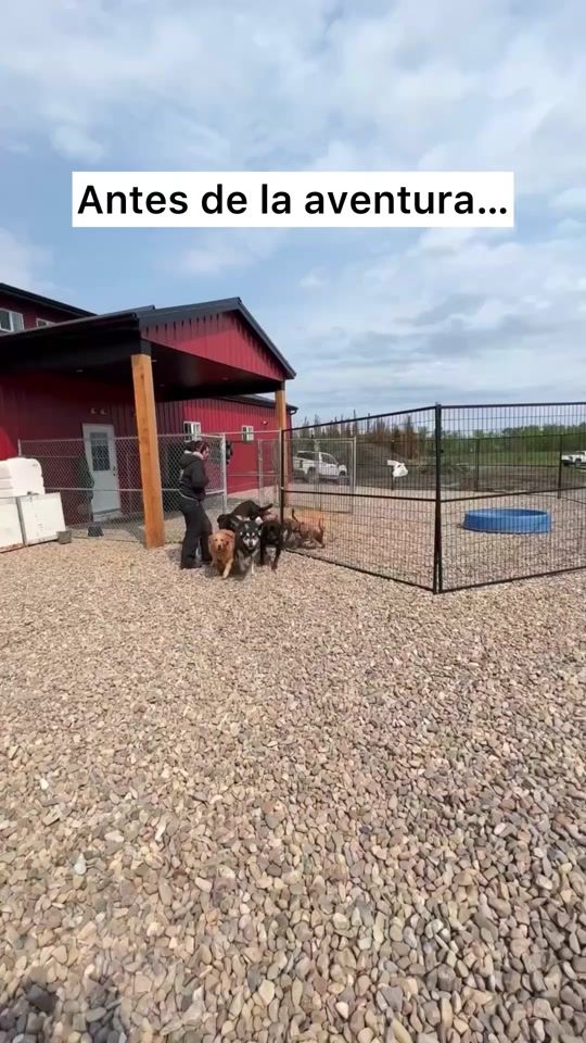 TikTok video thumbnail by ceciarmy