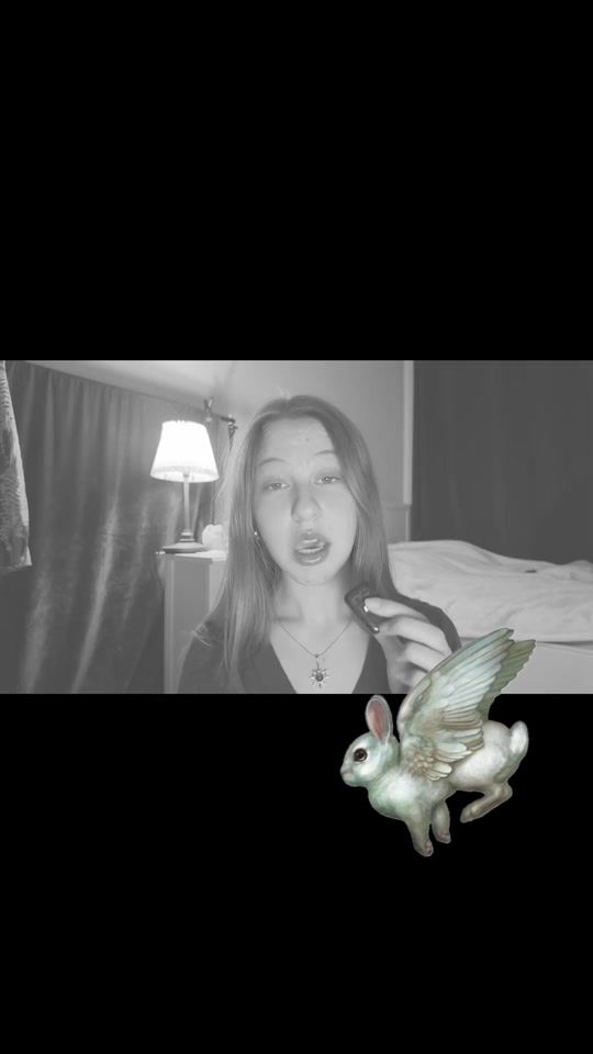 TikTok video thumbnail by videocountess